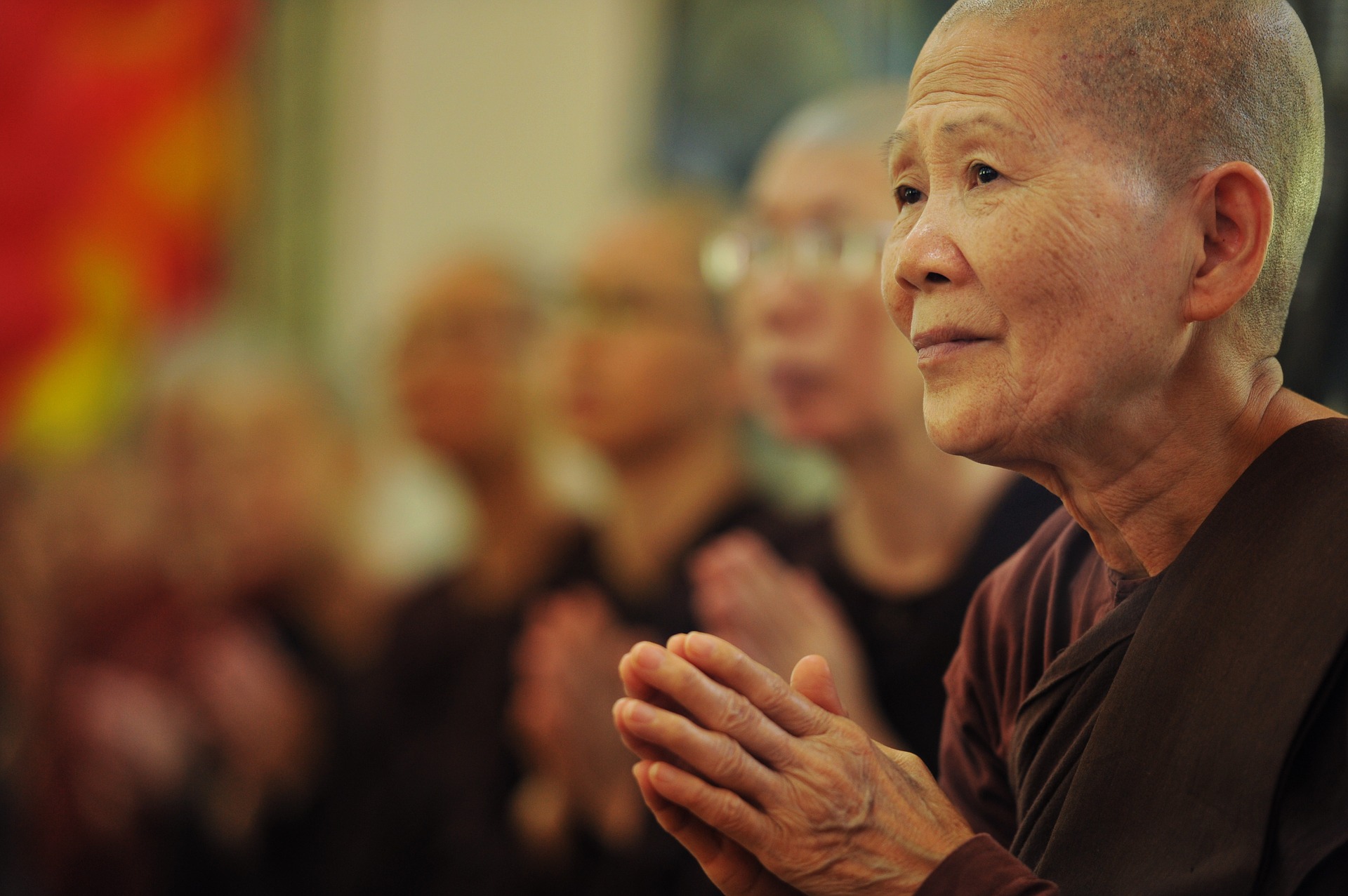 Zahlen zum Buddhismus in Deutschland Buddhismus kontrovers